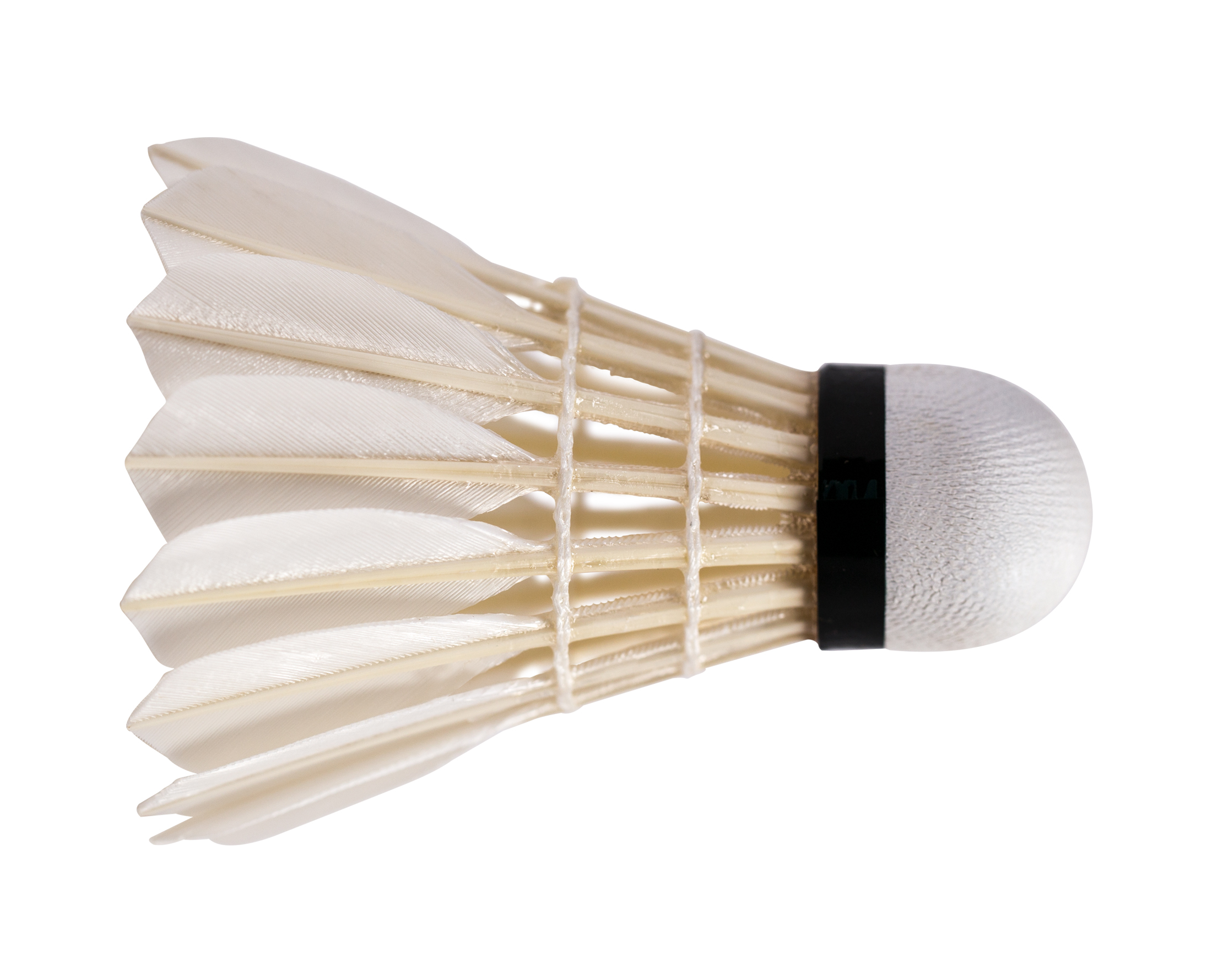 badminton birdie feathers